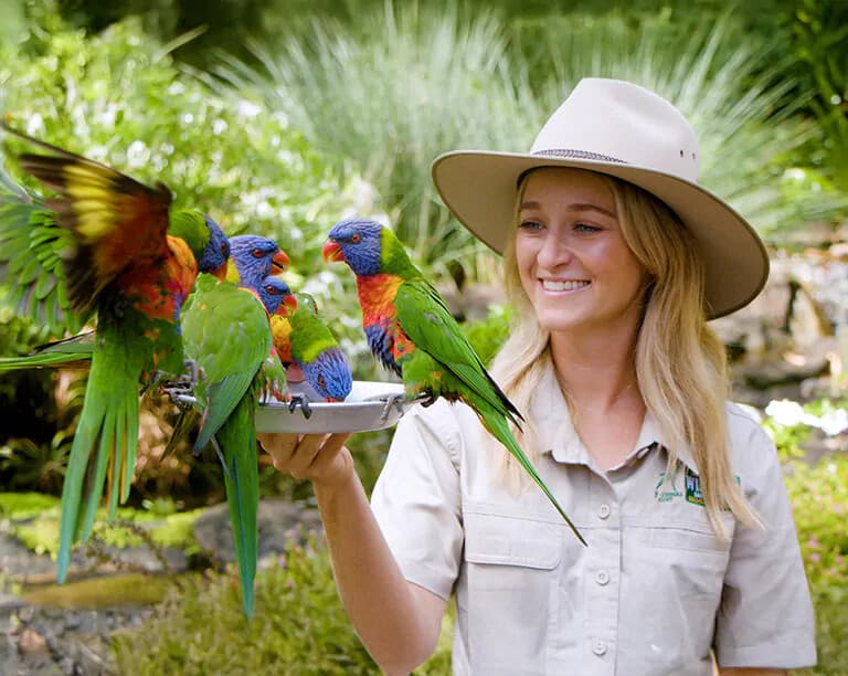 Currumbin Wildlife Sanctuary: Up-Close Encounters Near the Gold Coast photo 1