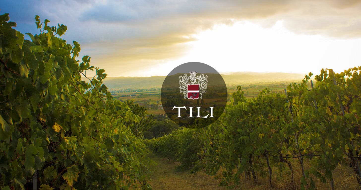 Vineyard at sunset with rolling hills, scenic wine estate