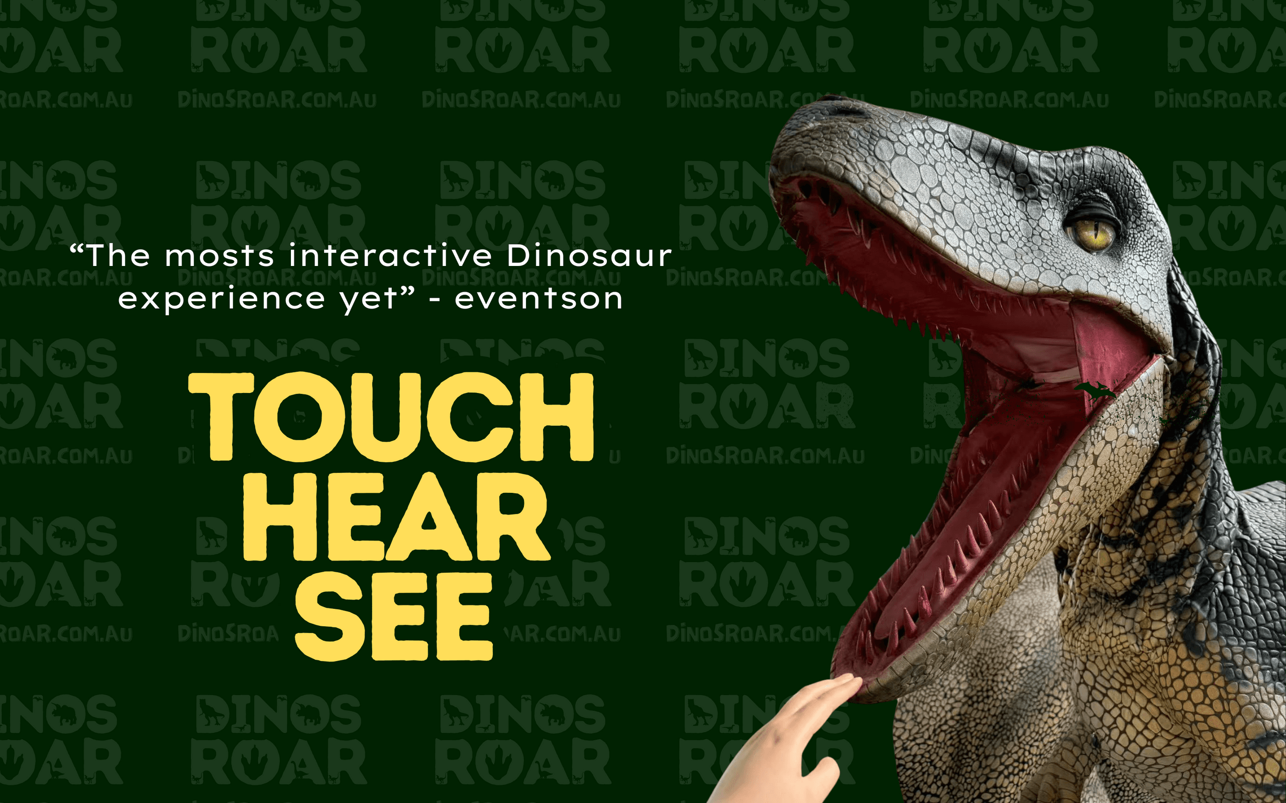 Outdoor Adventure & Family Fun at DinosRoar Experience