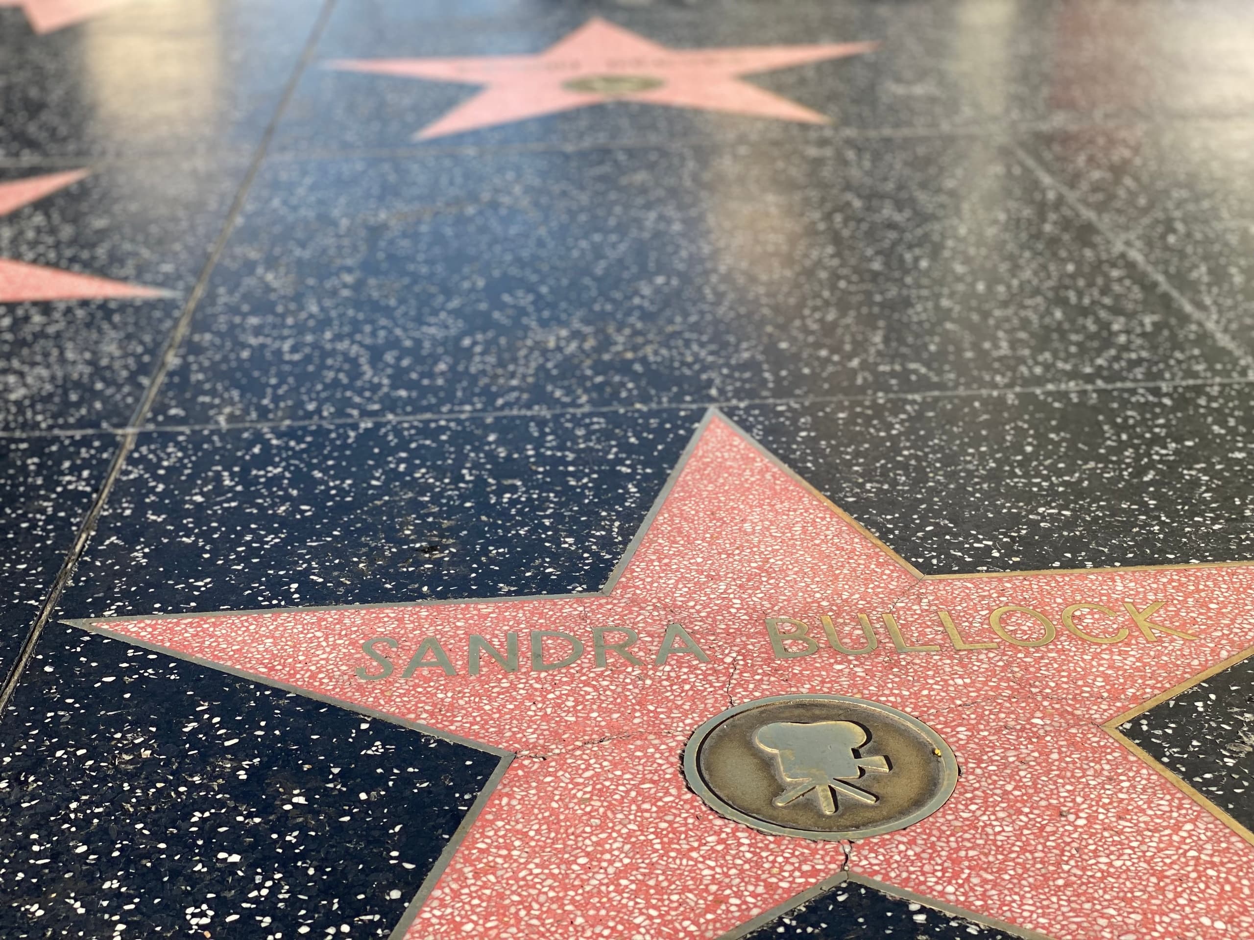 Discover Los Angeles with Private Step-On Guide Service