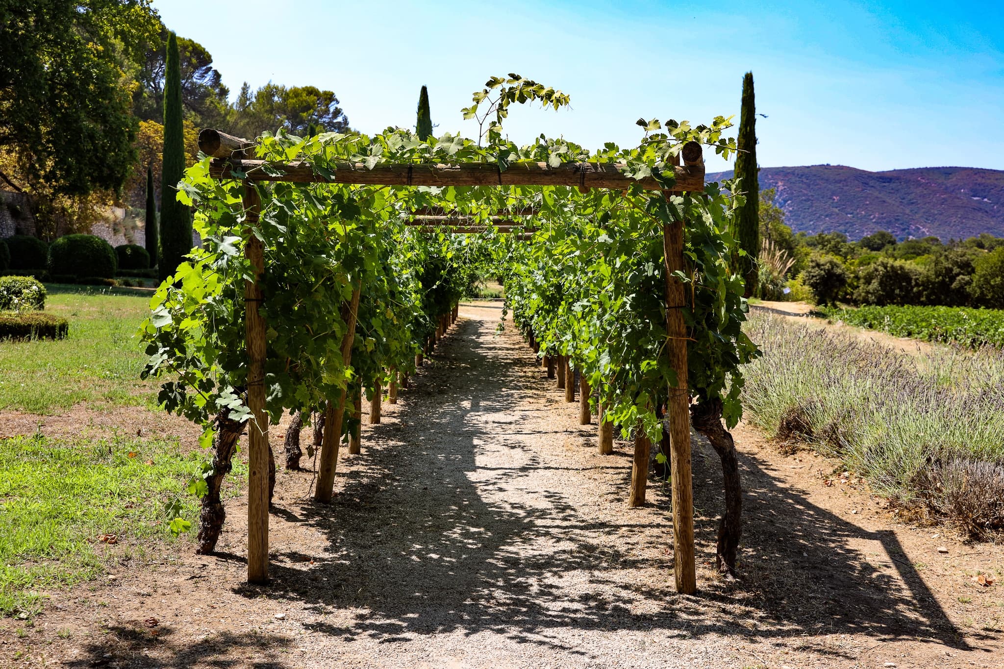 Land Adventures in Luberon with Bastide du Laval & Lourmarin