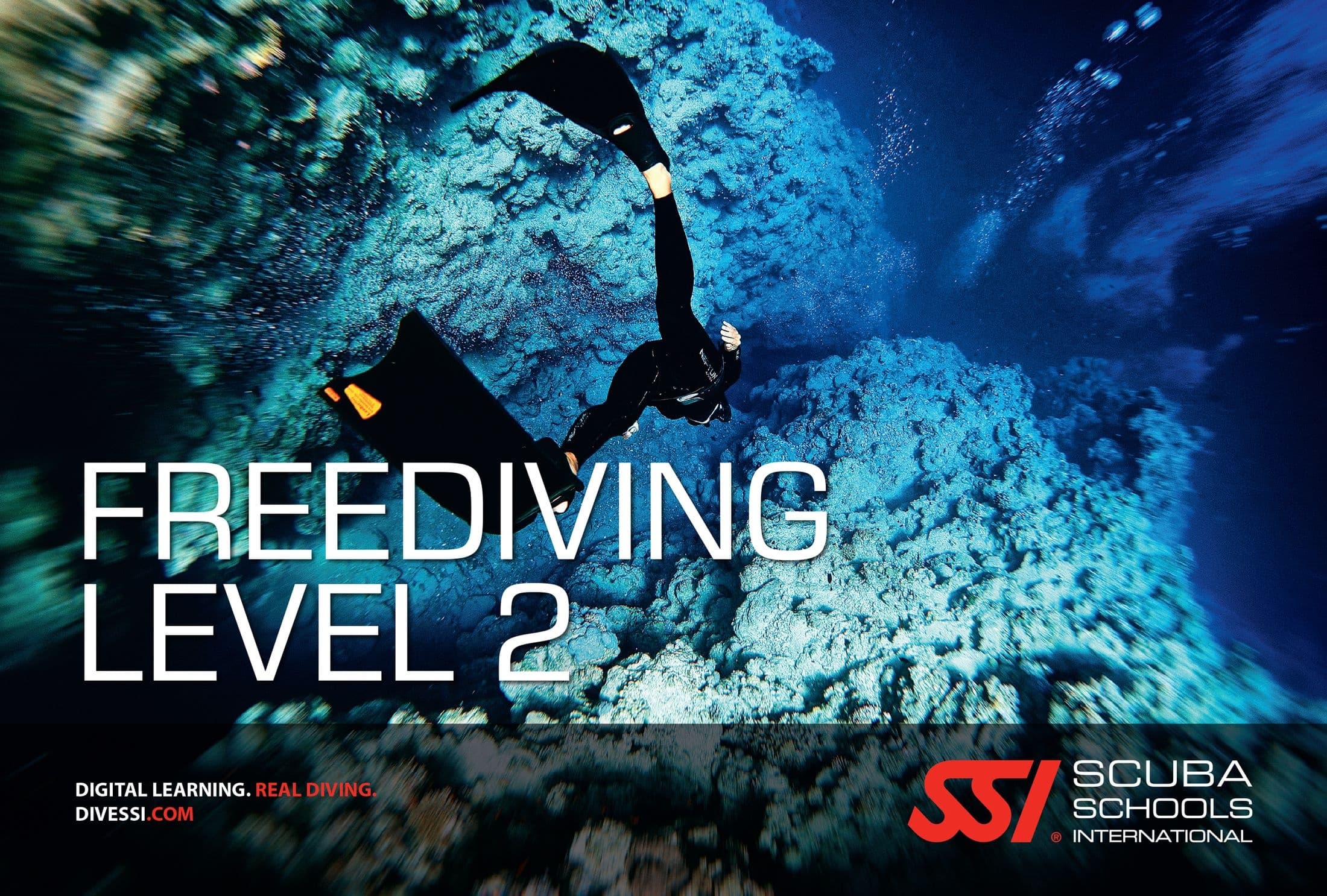 SSI Freediving Level 2 in San Francisco, California