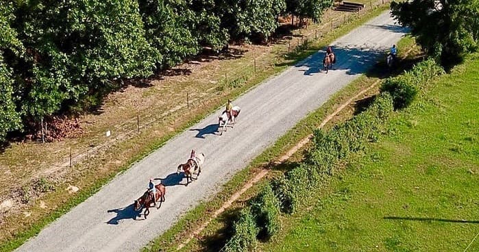 Group horseback riders trotting along rural ranch road