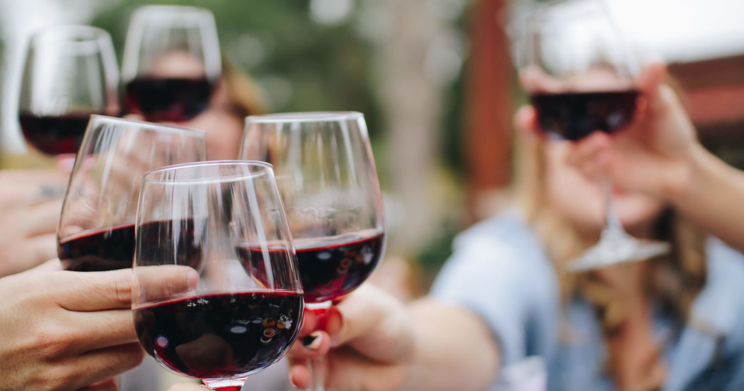 Olive Oil & Wine Journeys with The Olive Routes in Messinia