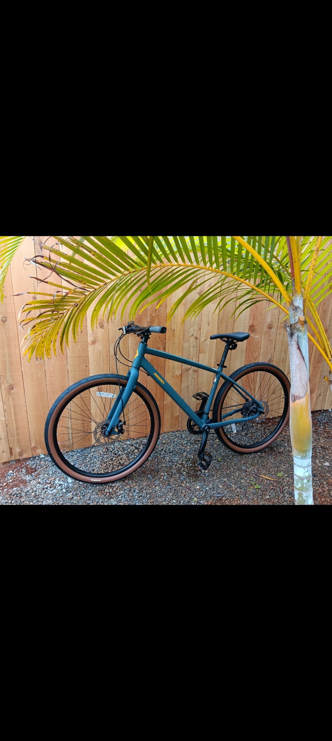Guided Two Hour Geared Bike Ride with Kauai Ebikes in Koloa