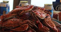 Water-Activities & Smith Island Cruises: Oceanic Adventures from Crisfield
