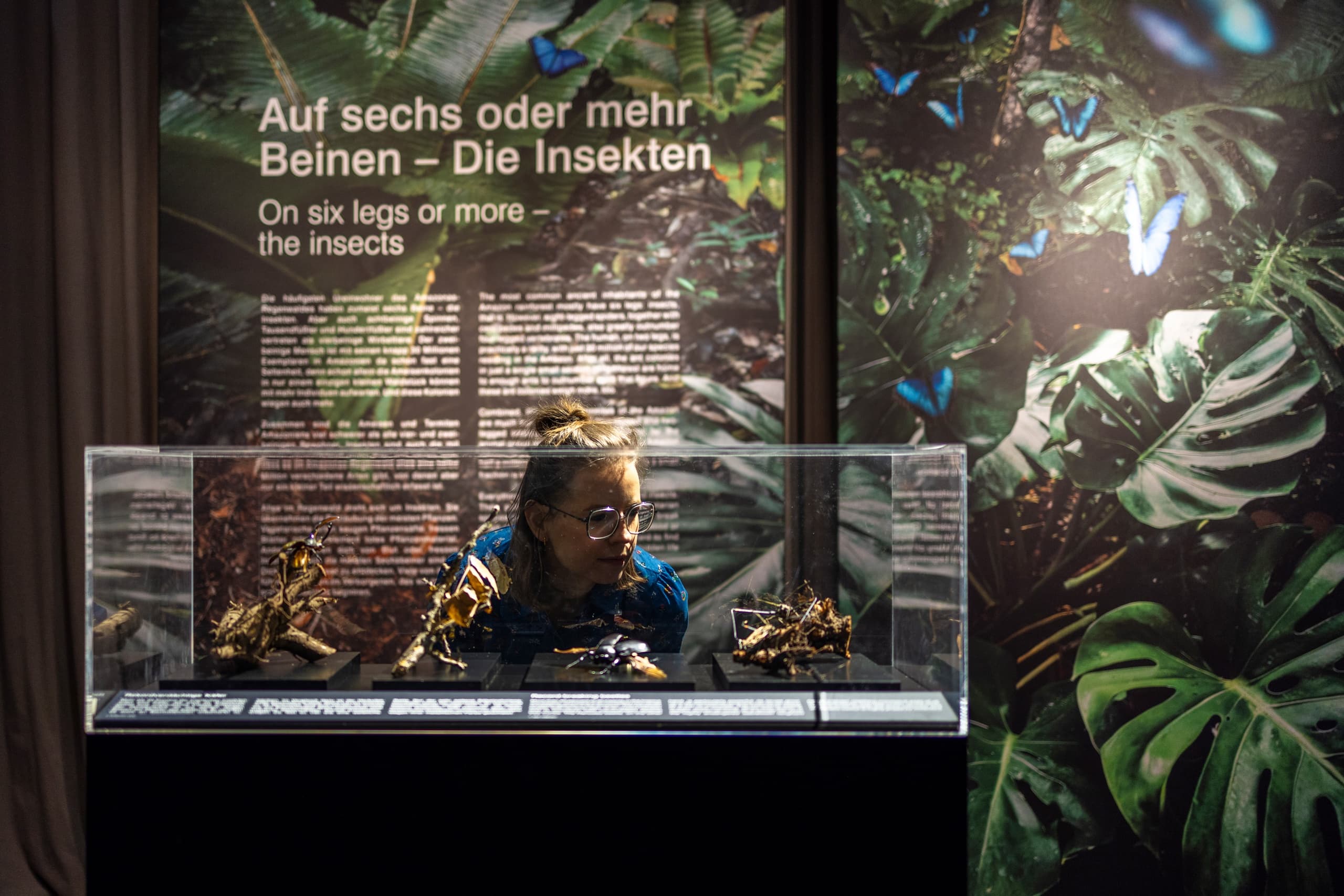 Virtual Amazon Rainforest Trip at Gasometer Pforzheim