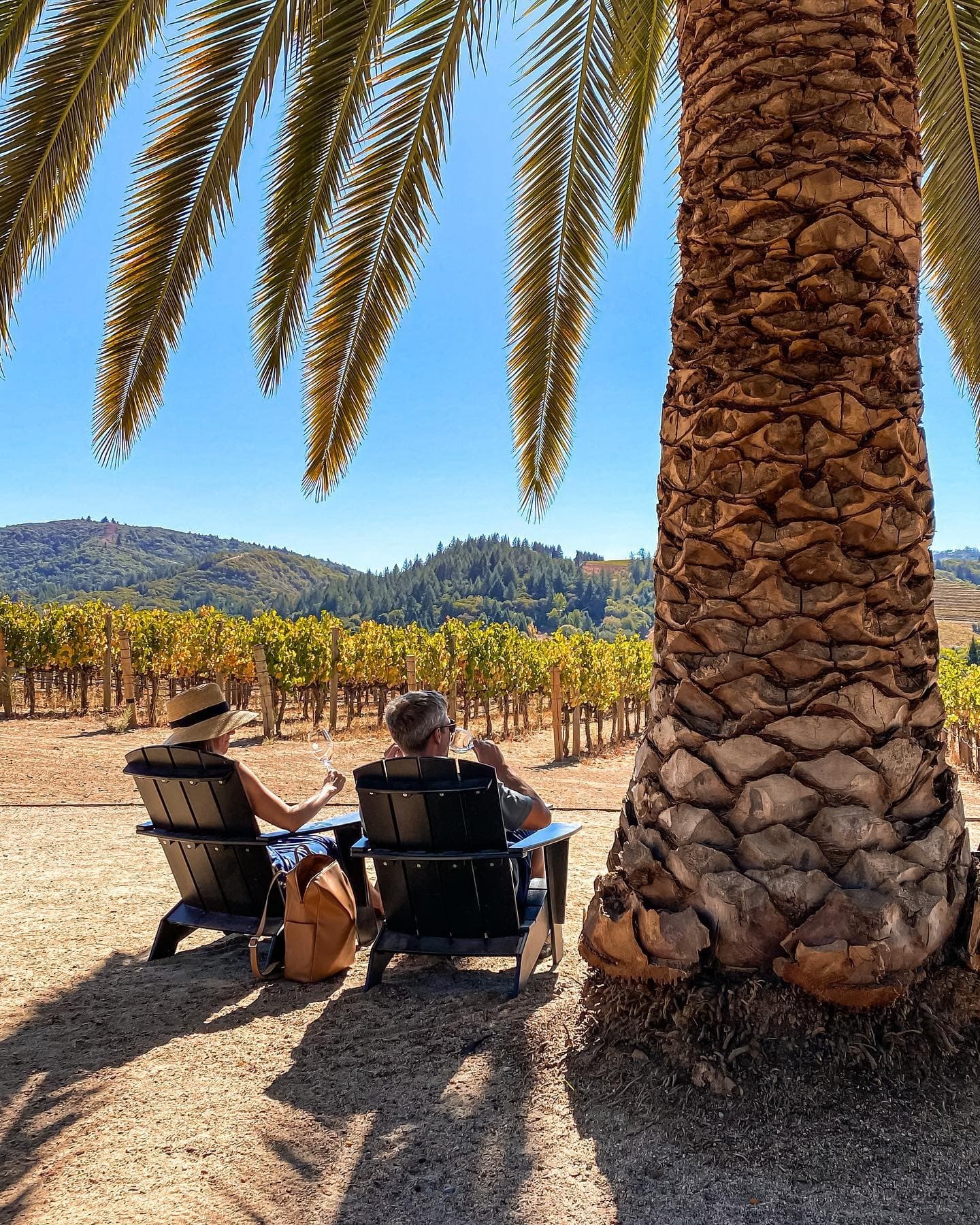 Custom 6-Hour Private Napa Valley Wine Tour Experience
