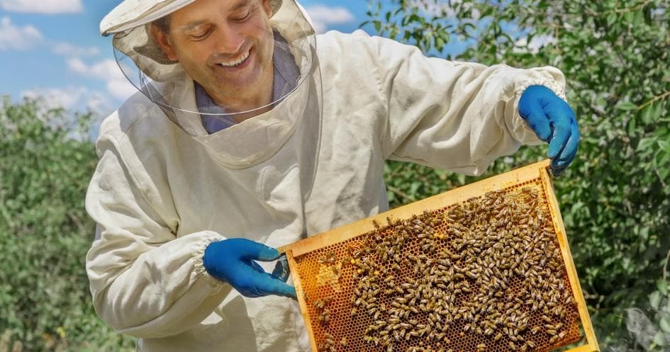 Wildlife & Nature Beekeeping at Sintra Farm