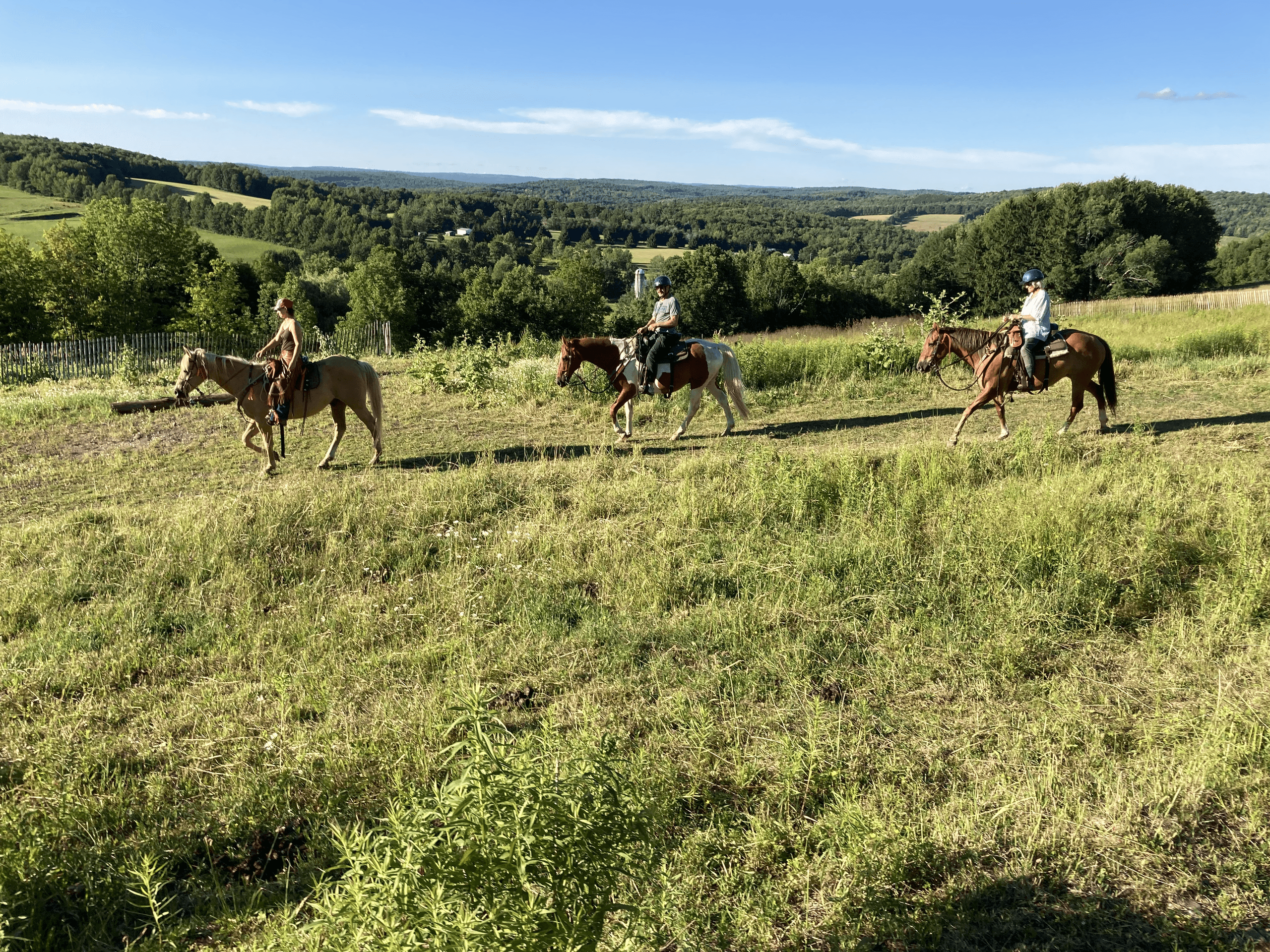 Land Adventures with Skyhold Ranch LLC in the Catskills