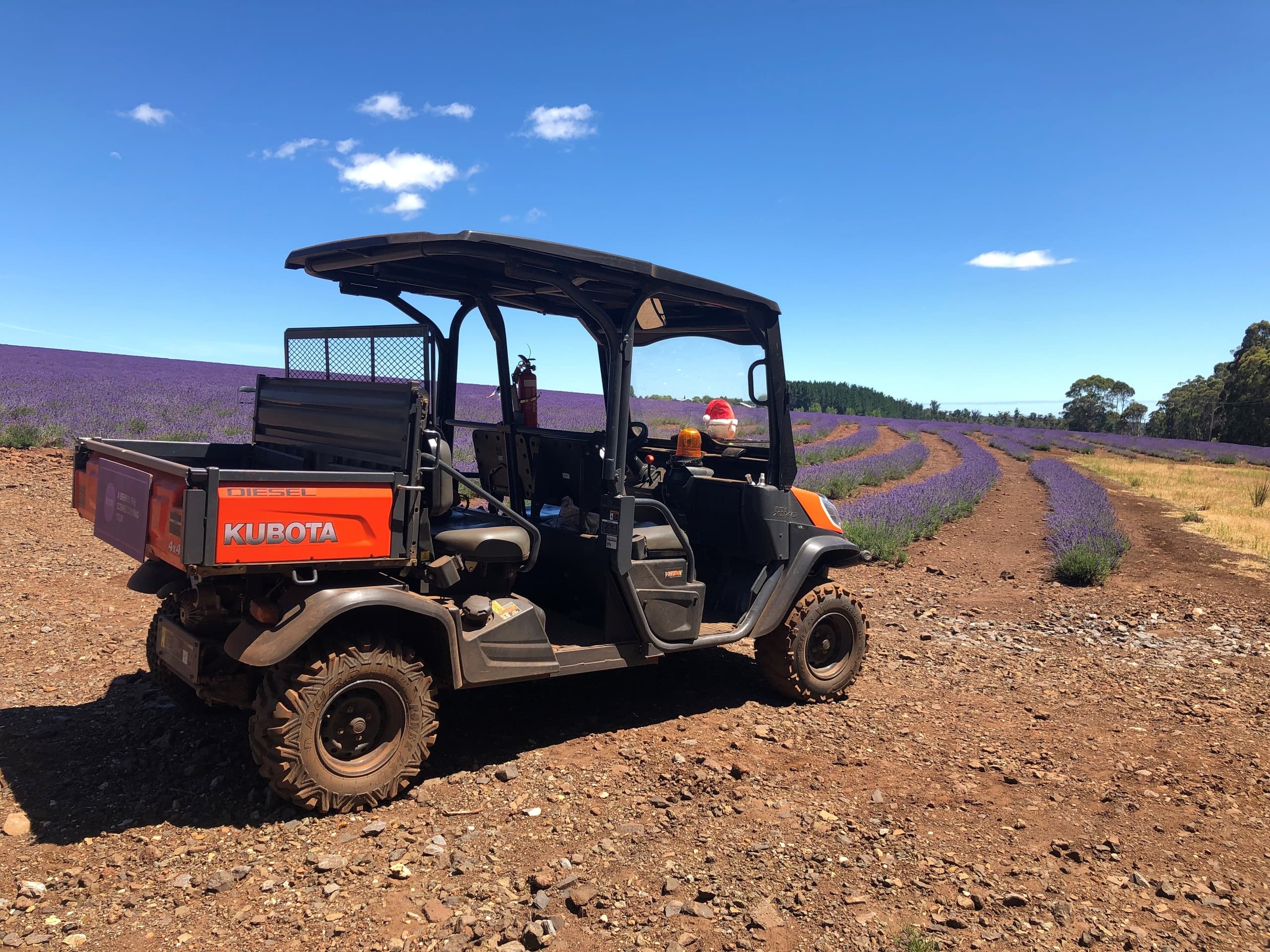 Land-Adventures at Bridestowe Lavender Estate