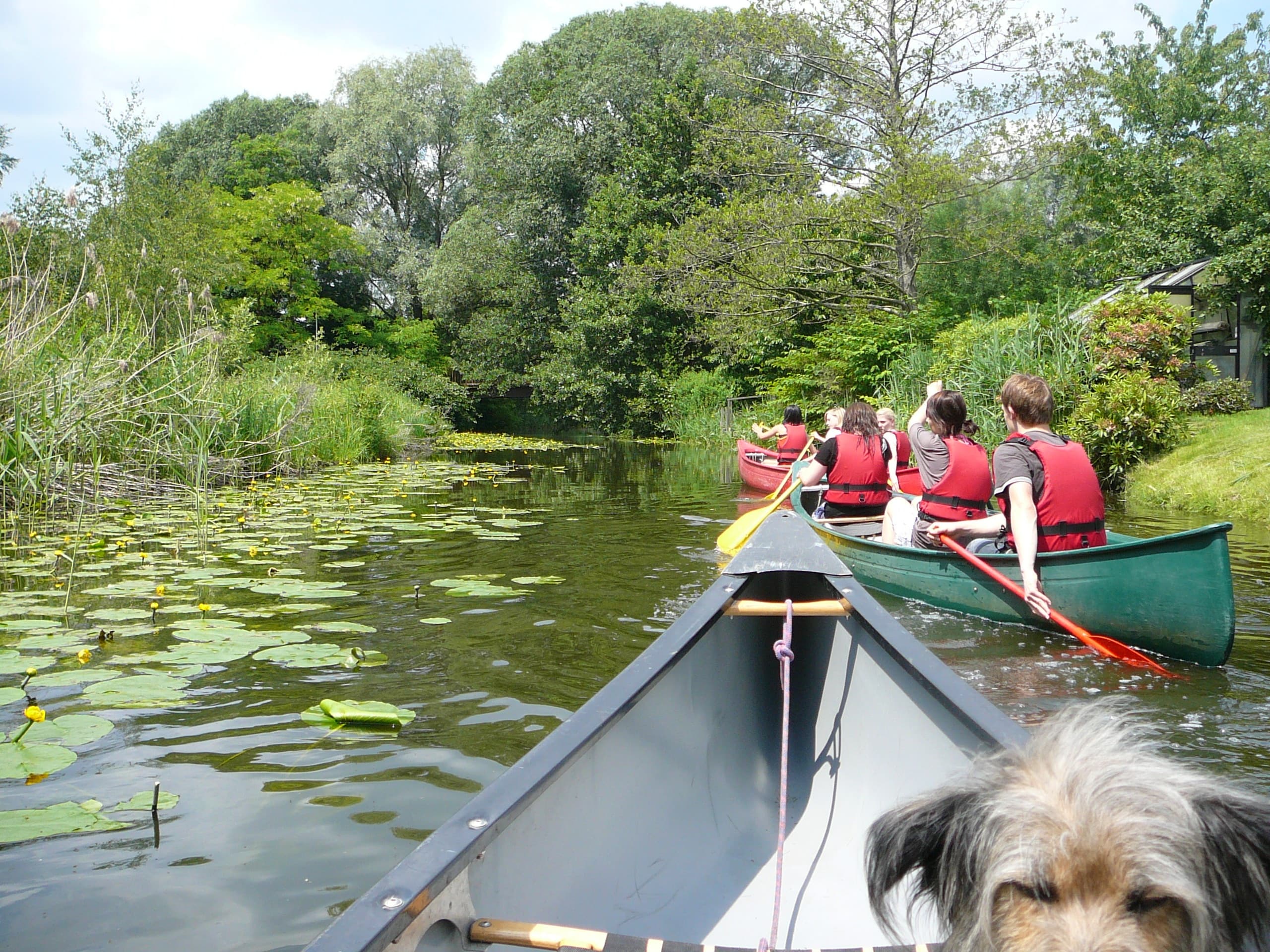Water Activities with Bright Side Tours in Scenic Waters