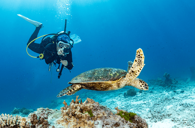 Water Activities with Gypsea Charters in [Location]