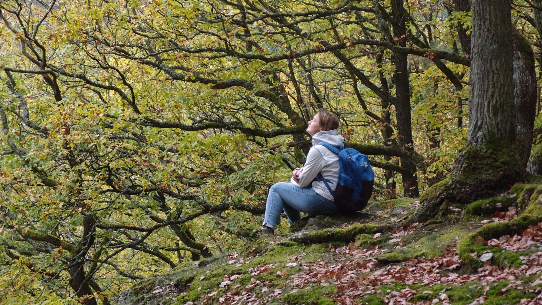 Forest Bathing with Waldbaden4Resilienz – Connect in Nature