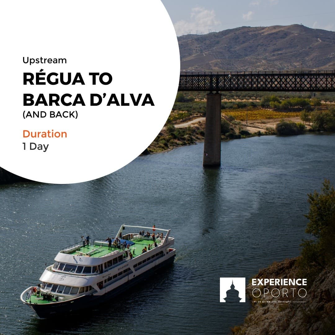 Upstream on the Douro: Régua to Barca d'Alva Full-Day Wine River Cruise