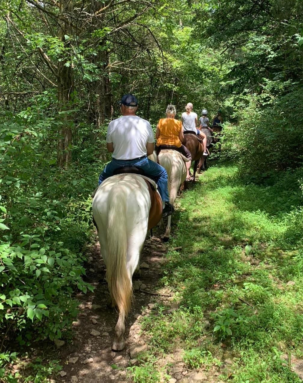Natural Horsemanship at Stepping Stone Ranch in Richmond, KY