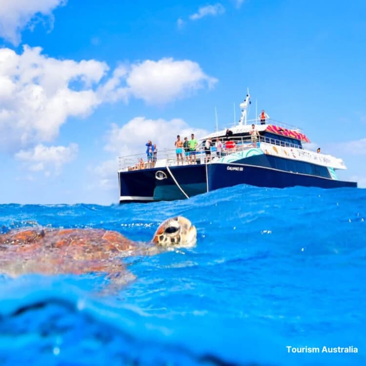Cairns Dreamtime Cruise: Full-Day Great Barrier Reef Snorkel with Indigenous Guides
