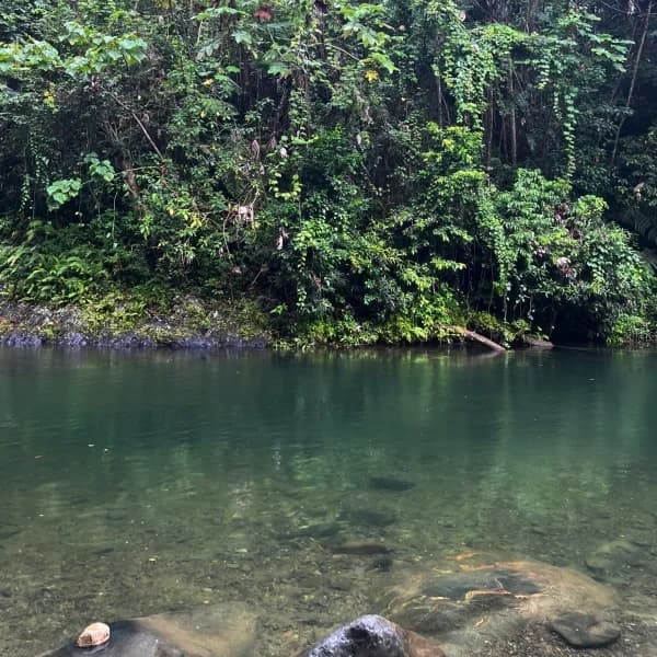 Wildlife & Waterfalls in El Yunque - Puerto Rico Vacations