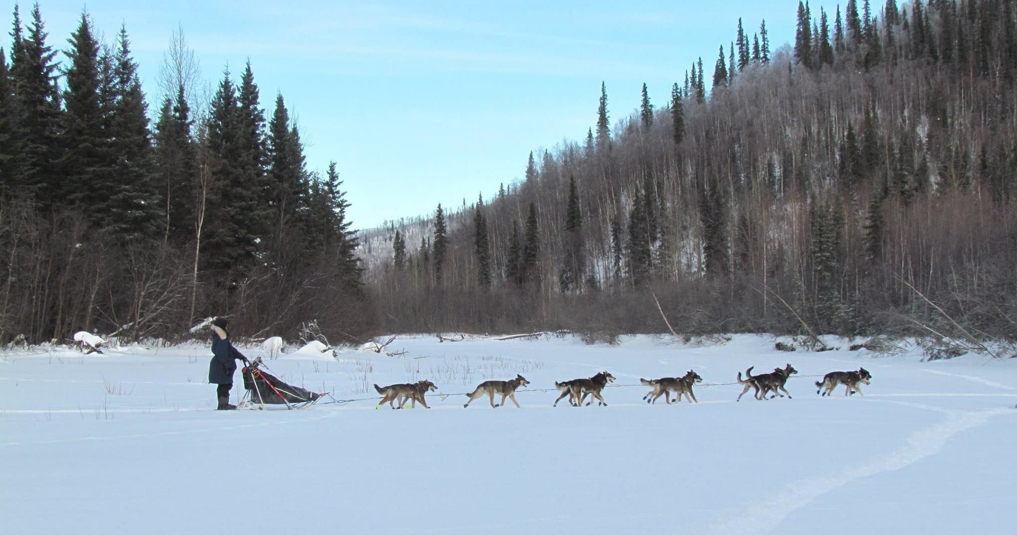 Day Tripper with Dew Claw Kennel in Fairbanks, Alaska