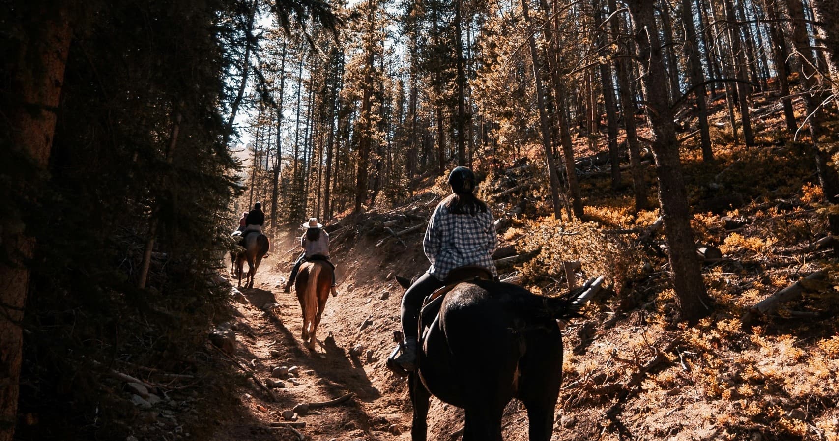 Scenic Trail Rides in Sayreville, New Jersey