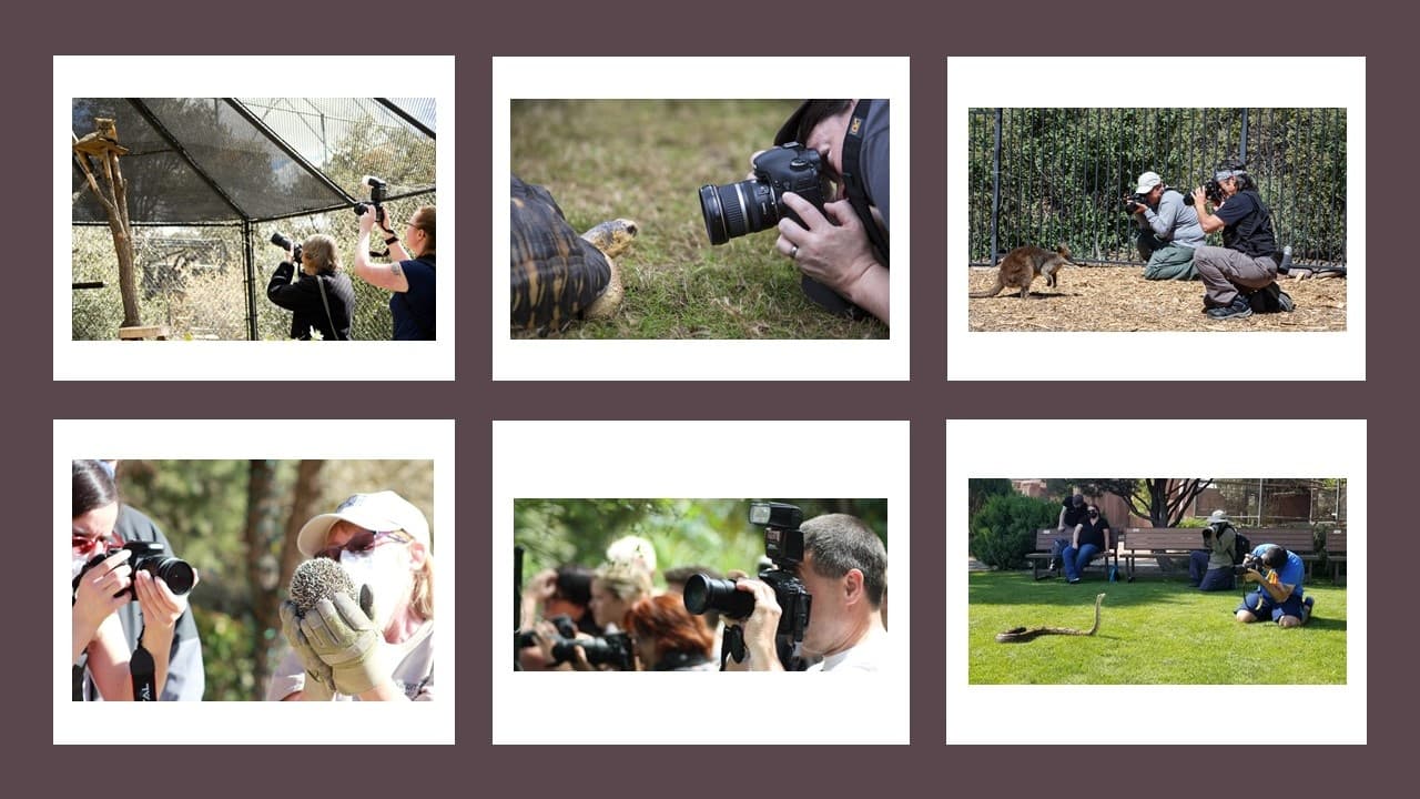 Wildlife & Photography: Behind-the-Scenes Tour at Heritage Park Zoological Sanctuary
