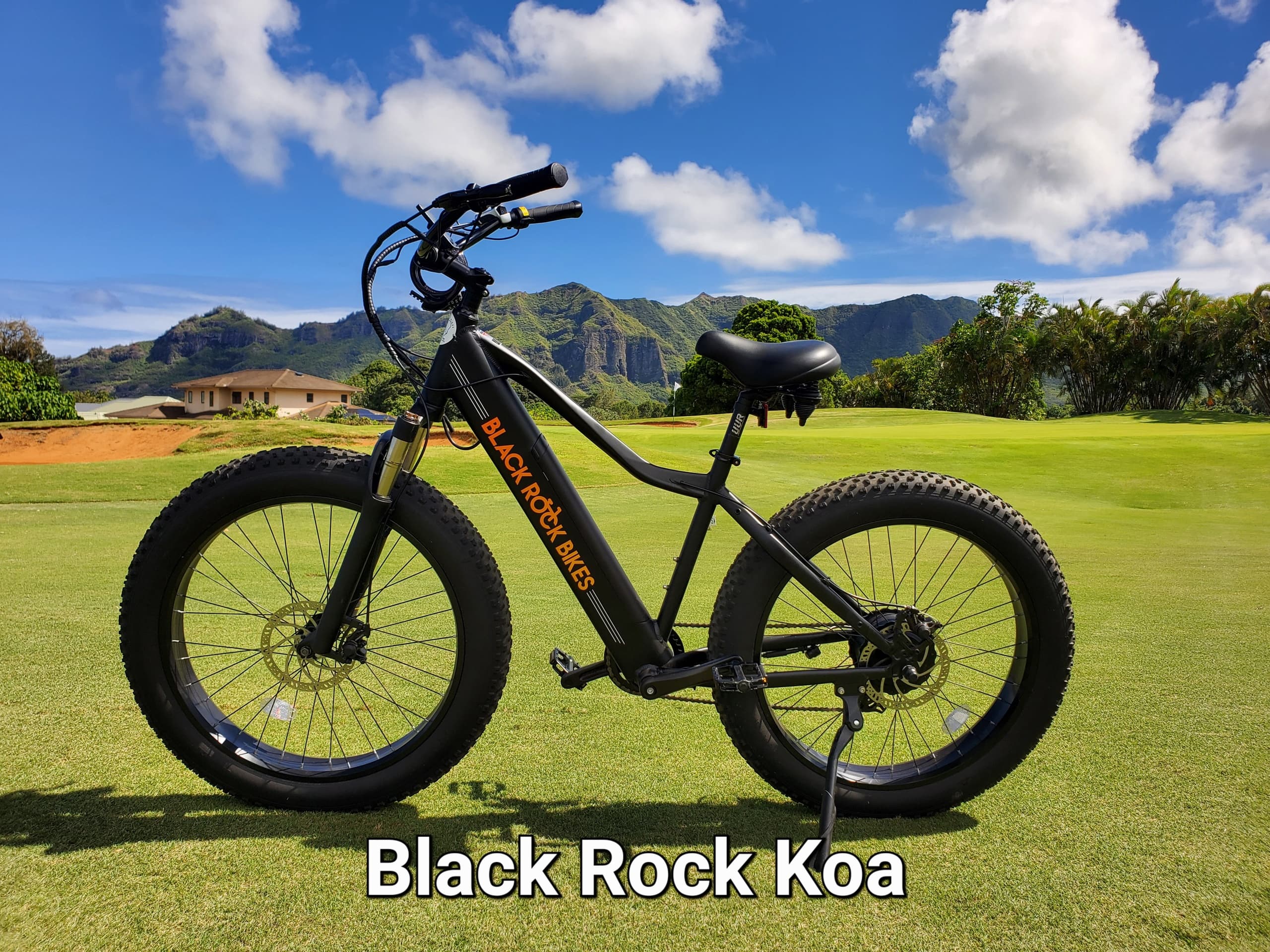 All Day Ebike Rental with Kauai Ebikes in Koloa