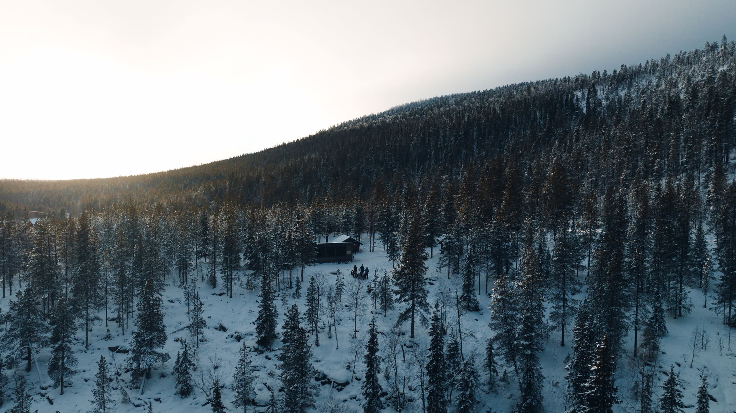 Under Arctic Skies: e-Fatbike Northern Lights Ride in Sirkka, Finland photo 2