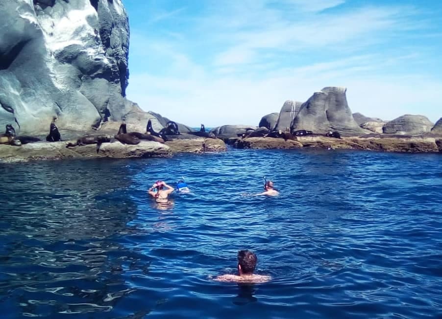 Coronados Island Tour with Guaycura Adventures in Loreto