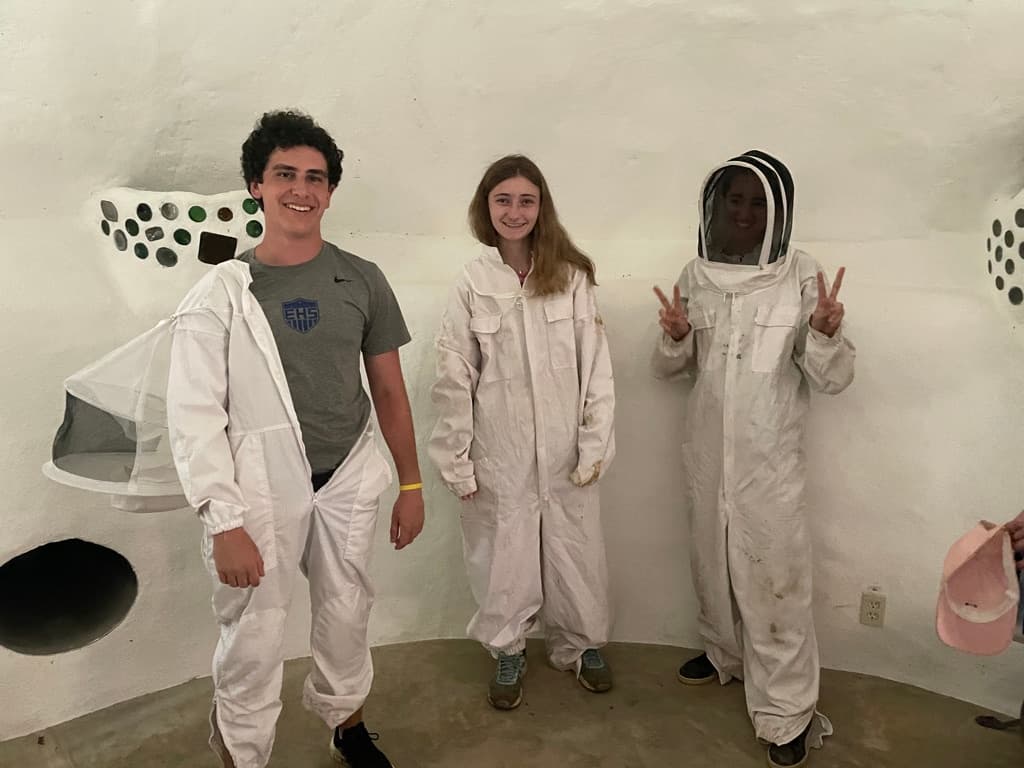 Apiary Experience in Aguada: Hands-On Beekeeping & Hive Ecology, Puerto Rico photo 1