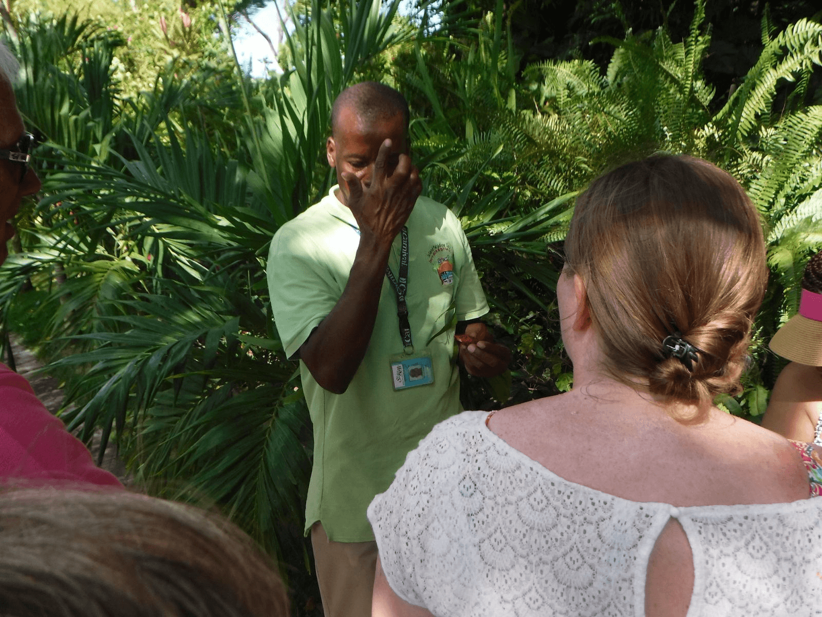 Plantation and Beach Extravaganza: Basseterre History, Romney Manor & Timothy Hill Views photo 4