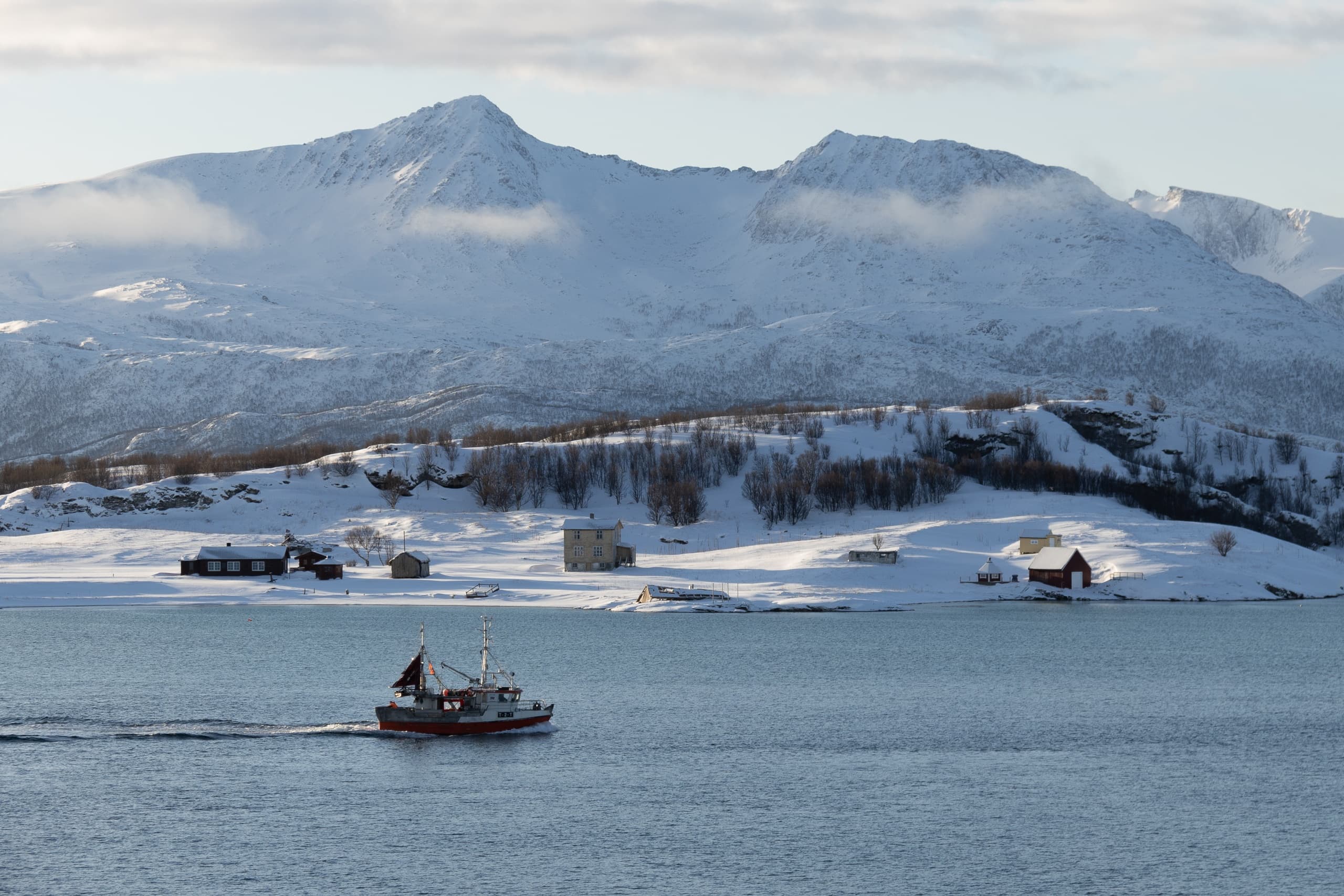 Explore Kvaløya & Arctic Fjords: All Inclusive Arctic Day Trip from Tromsø