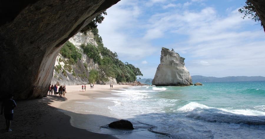 Coromandel Day Tour with Auckland & Beyond Tours