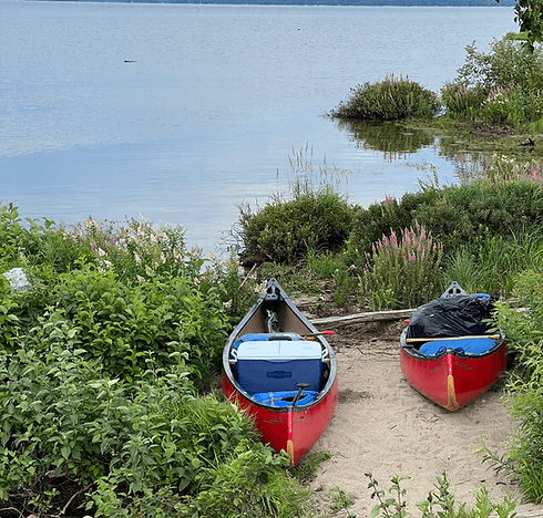 Two canoes resting on sandy lake shore with wildflowers at sunset