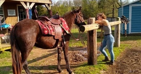 Equestrian Training at Sunshine Acres Ranch