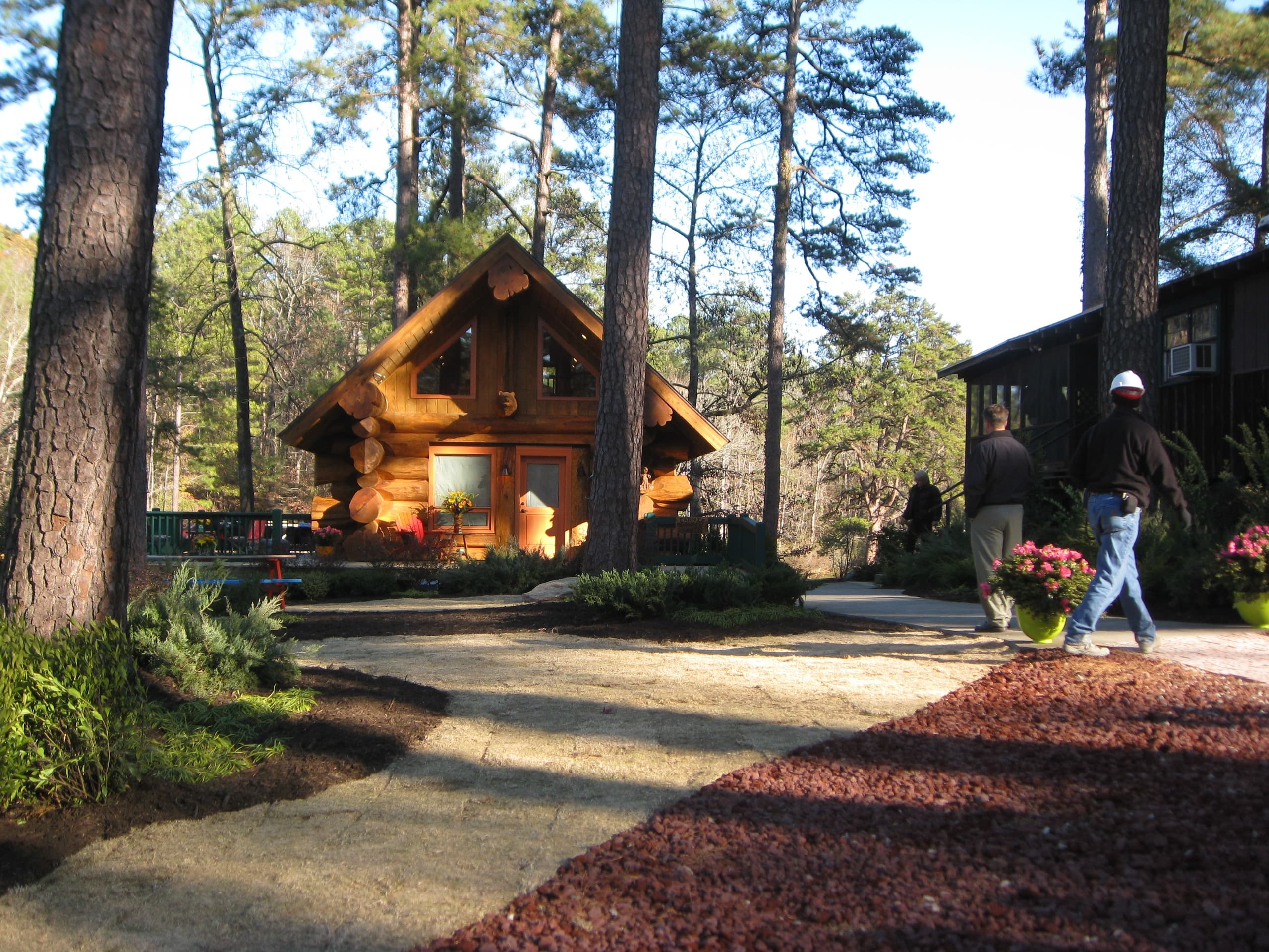Wooden cabin with stone path among tall pines at camp