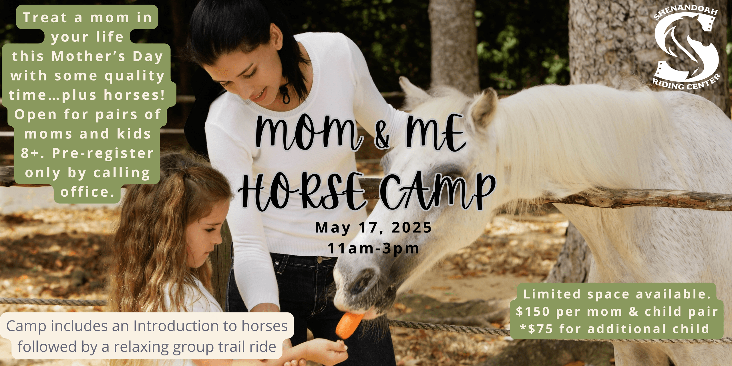 Celebrate Mother’s Day with a Mom and Me Horse Camp in Galena, Illinois