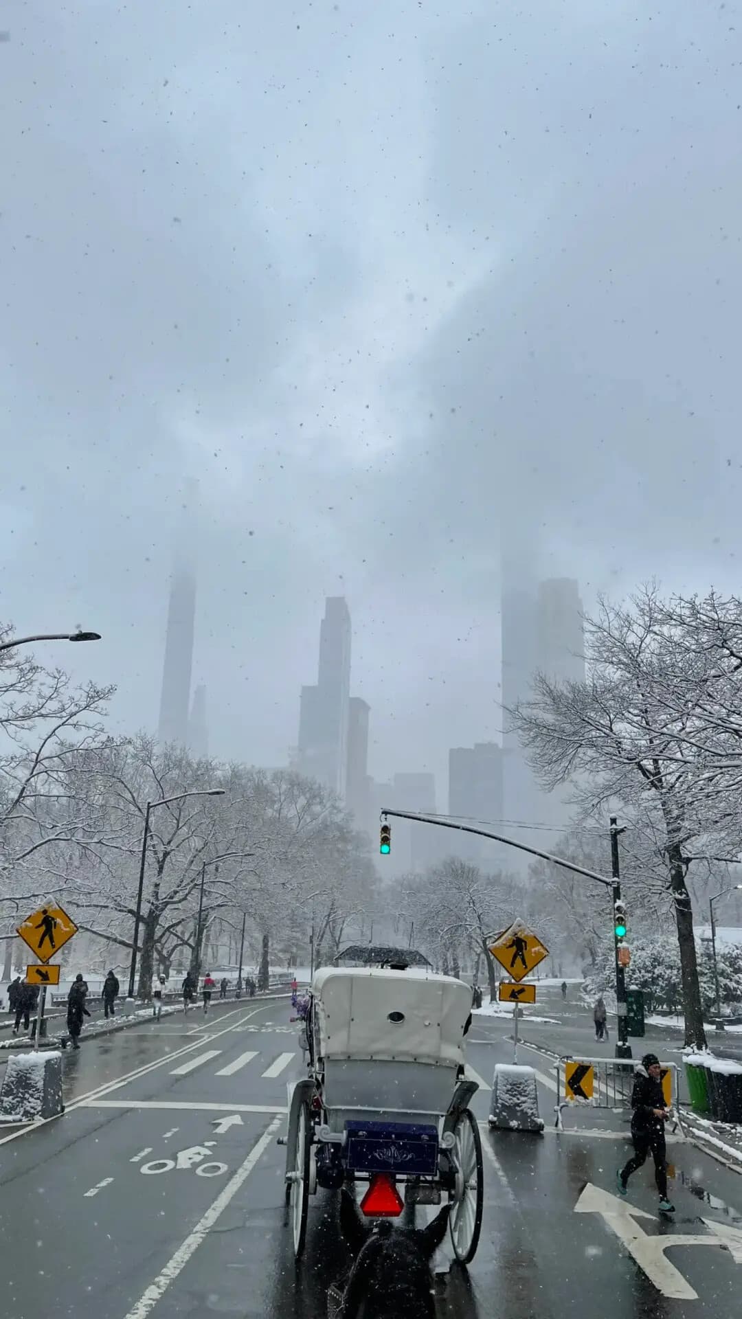 Christmas Ride: Central Park Horse-Drawn Carriage Tour