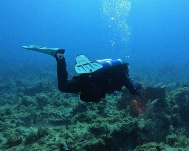Mastering Movement: Fundamentals and Principles of Diving in Newington, Connecticut