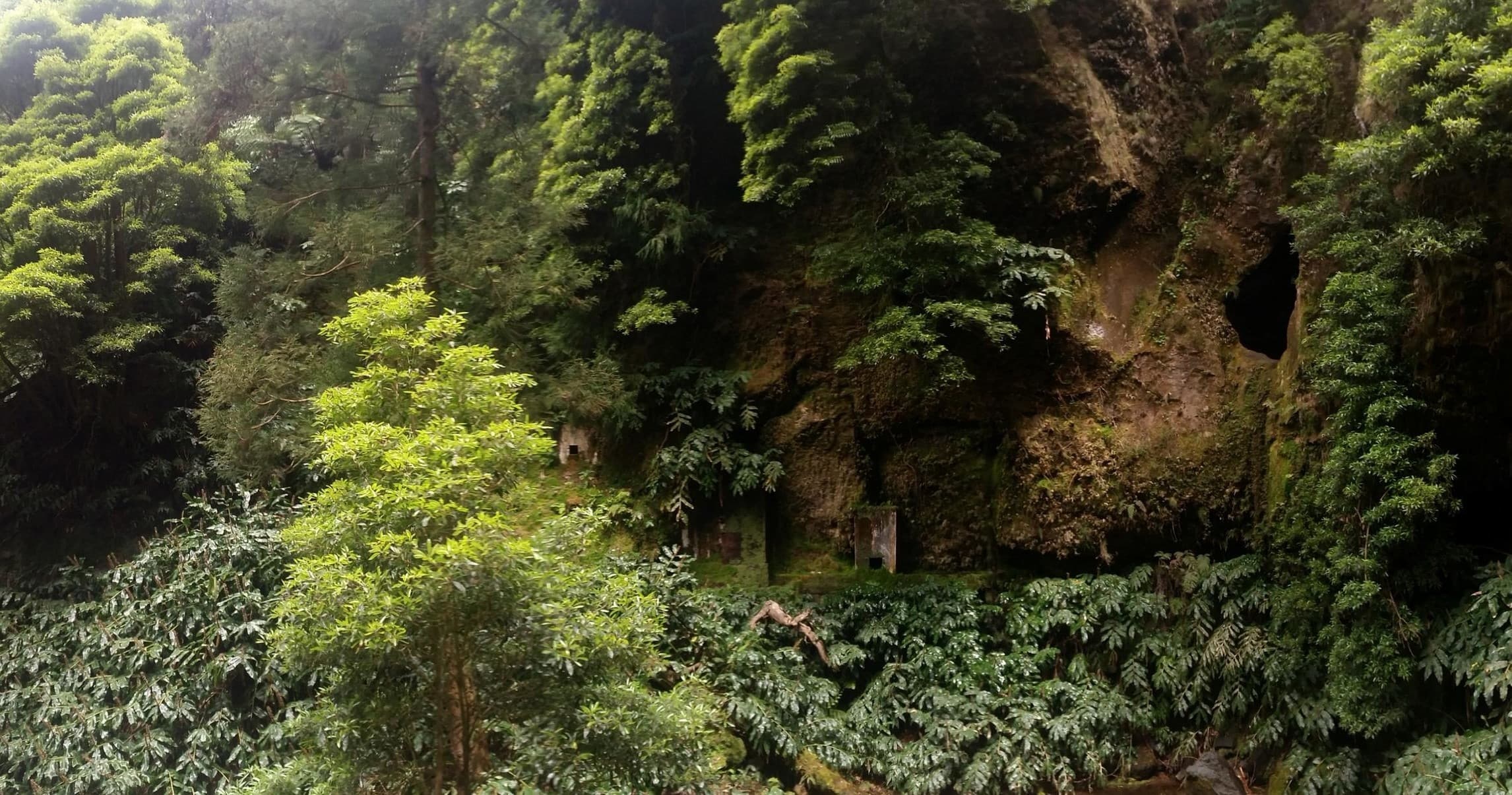 Experience the Rota da Água to Janela do Inferno: Easy Hiking Through the Azores’ Stunning Landscapes