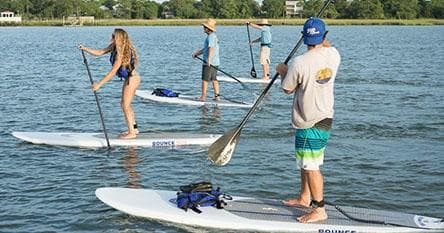Afternoon Dolphin Safari on Folly River: Paddleboard with Bottlenose Dolphins in South Carolina