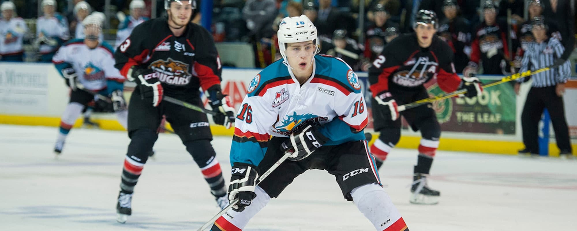 Experience the Thrill of Kelowna Rockets Hockey: Canada’s Premier Junior Hockey Adventure