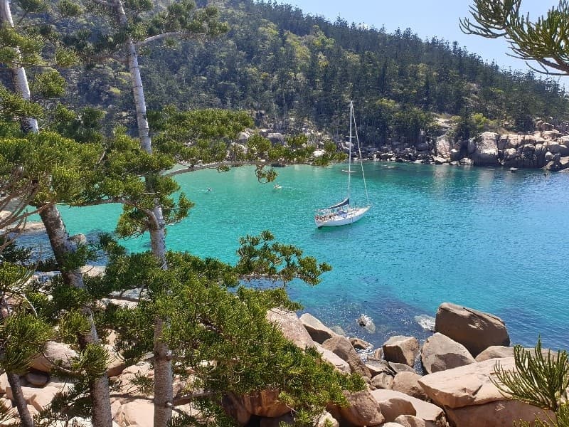 Secluded sandy bay with paddleboards and tropical trees