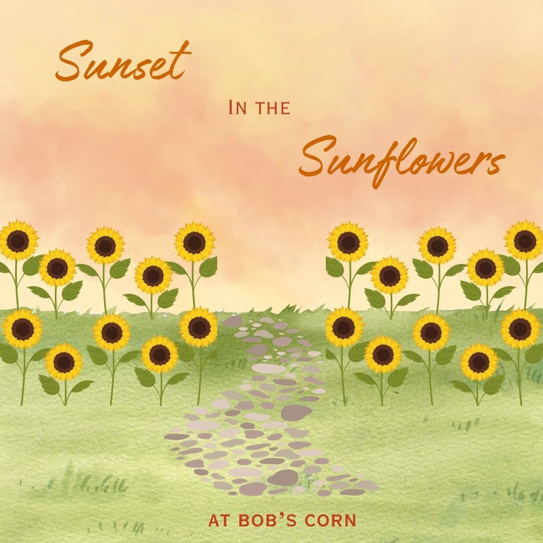 Bob's Corn & Pumpkin Farm team