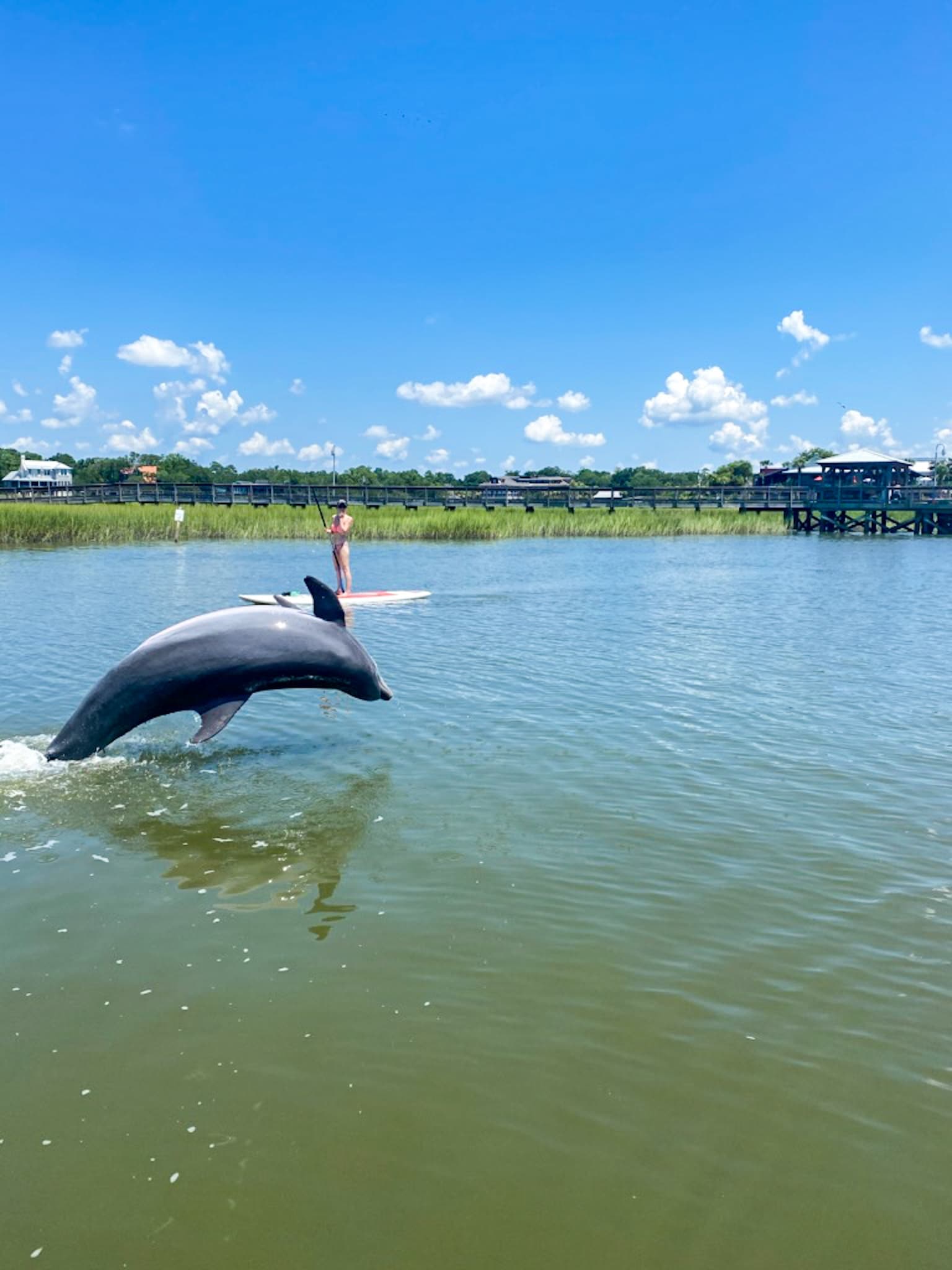 Shem Creek Kayak & Paddleboard Rentals in Mt. Pleasant