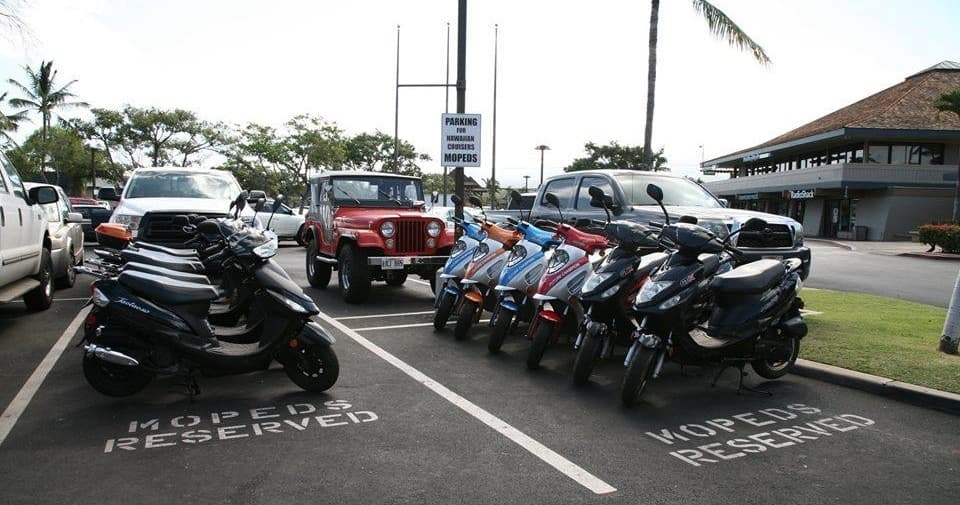 Rental scooters lined up near palm trees by oceanfront