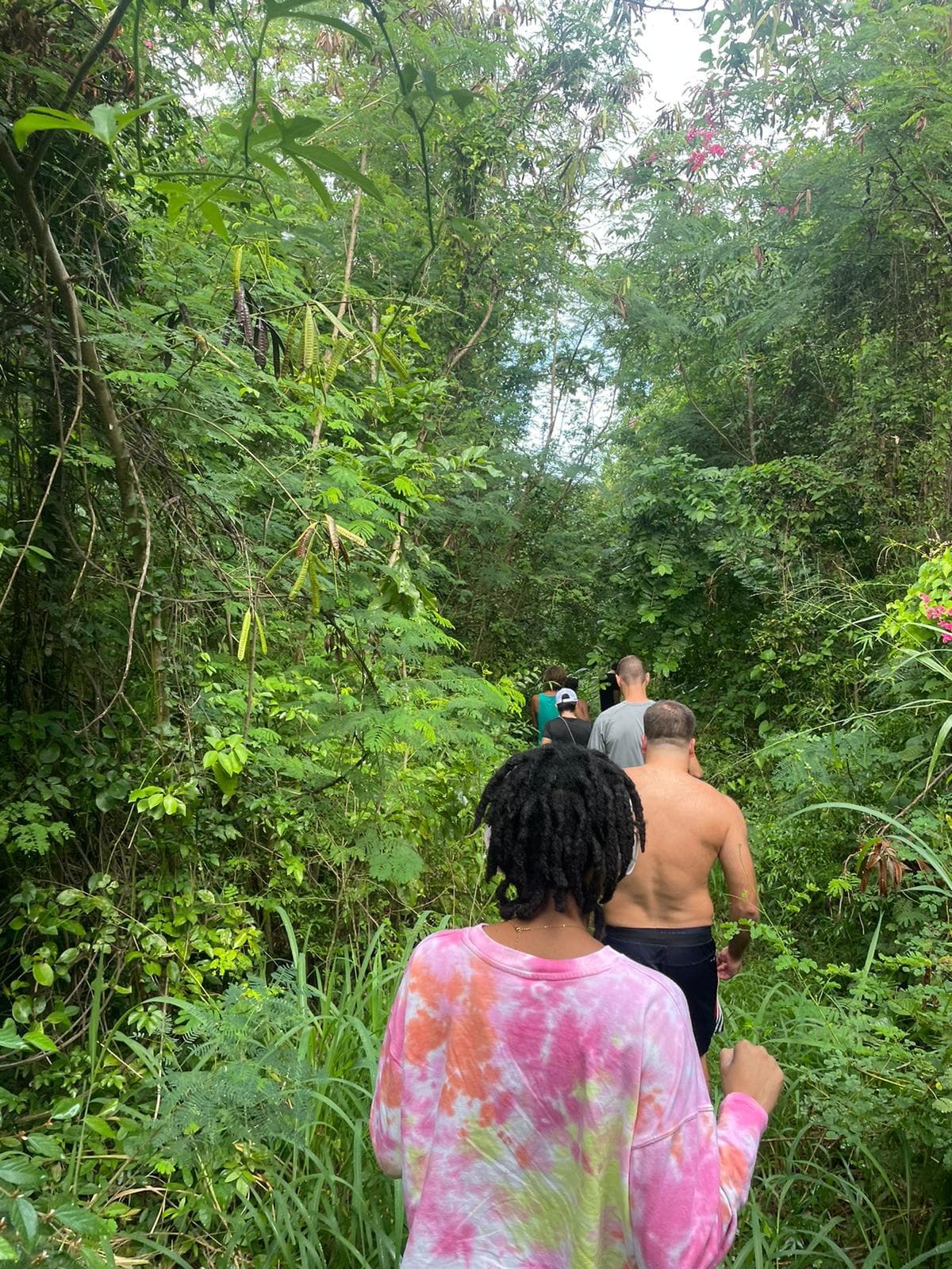 Explore Santa Maria Beach: St. Thomas’s Hidden Coastal Hike to Pristine Sands and Coral Reefs
