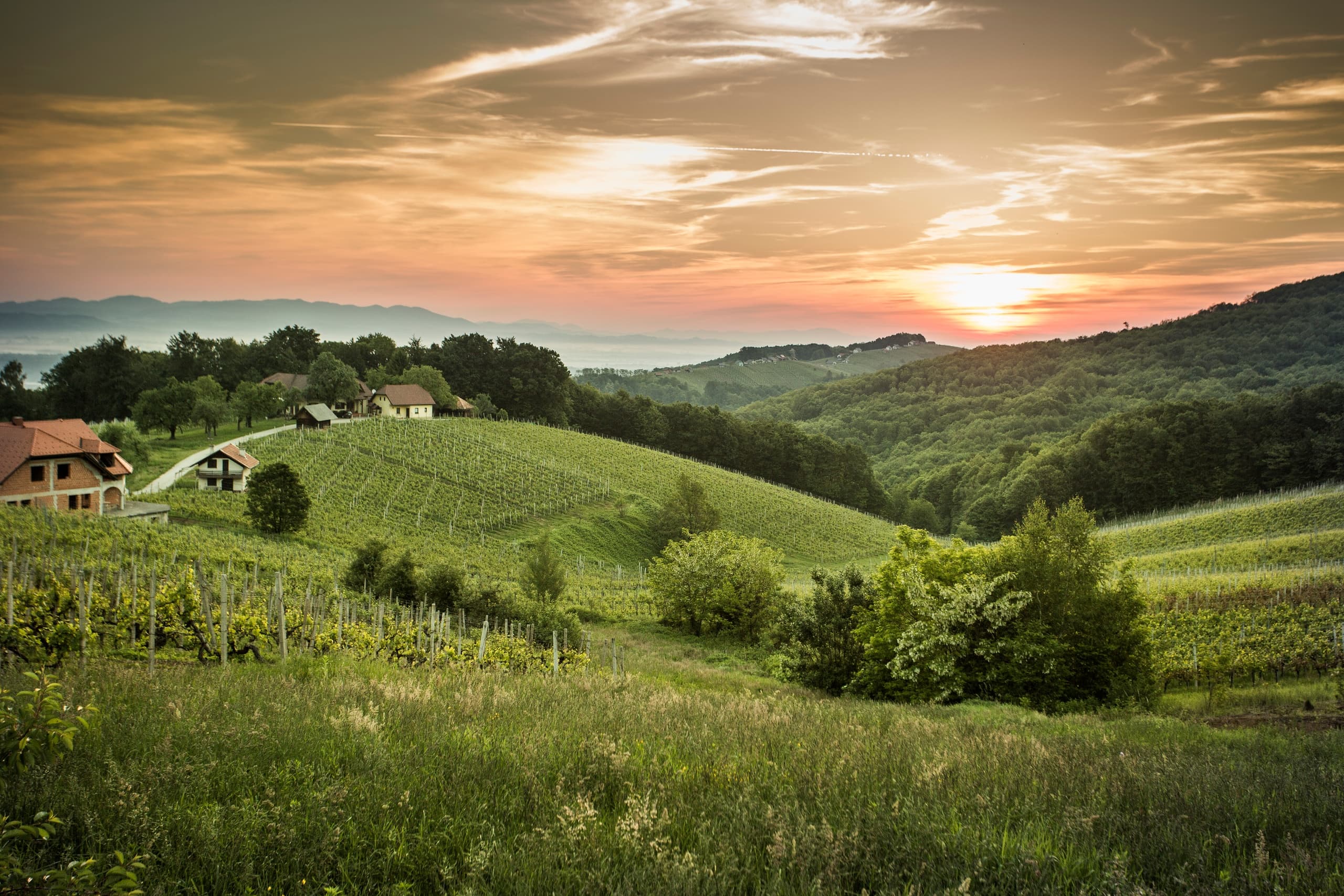Celje Castle Calligraphy Workshop and Medieval Culinary Experience in Slovenia