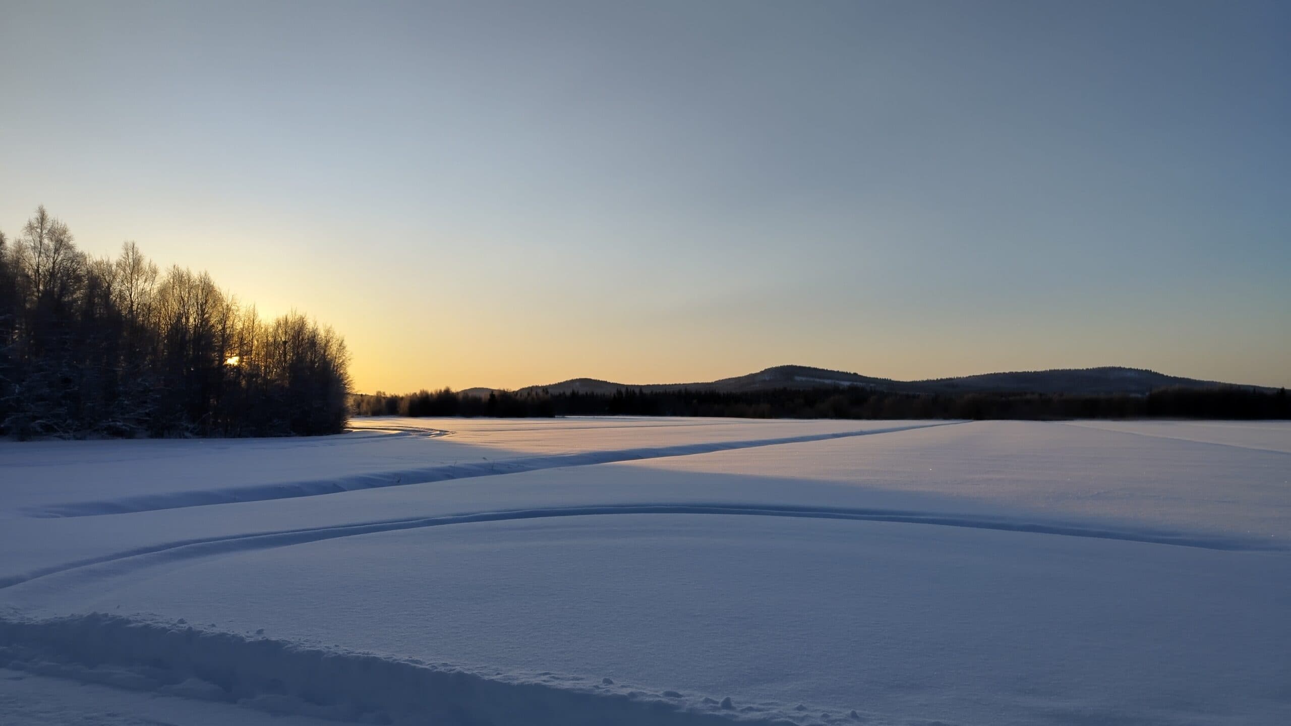Explore Lapland’s Wilds with a Private Snowmobile Day Tour