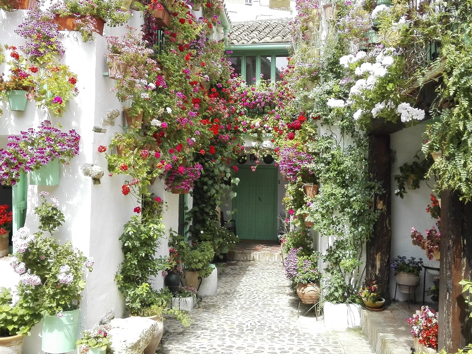 Discover Córdoba’s Hidden Charm on the Ruta Privada de Patios de San Basilio