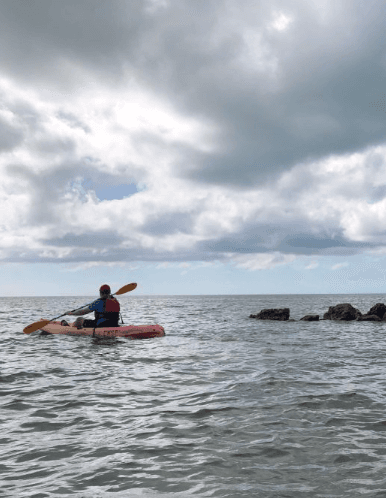 Kayaking Adventure at Faro Blanco Marina, Florida Keys